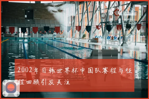 2002年日韩世界杯中国队赛程与征程回顾引发关注