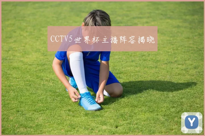 CCTV5世界杯主播阵容揭晓